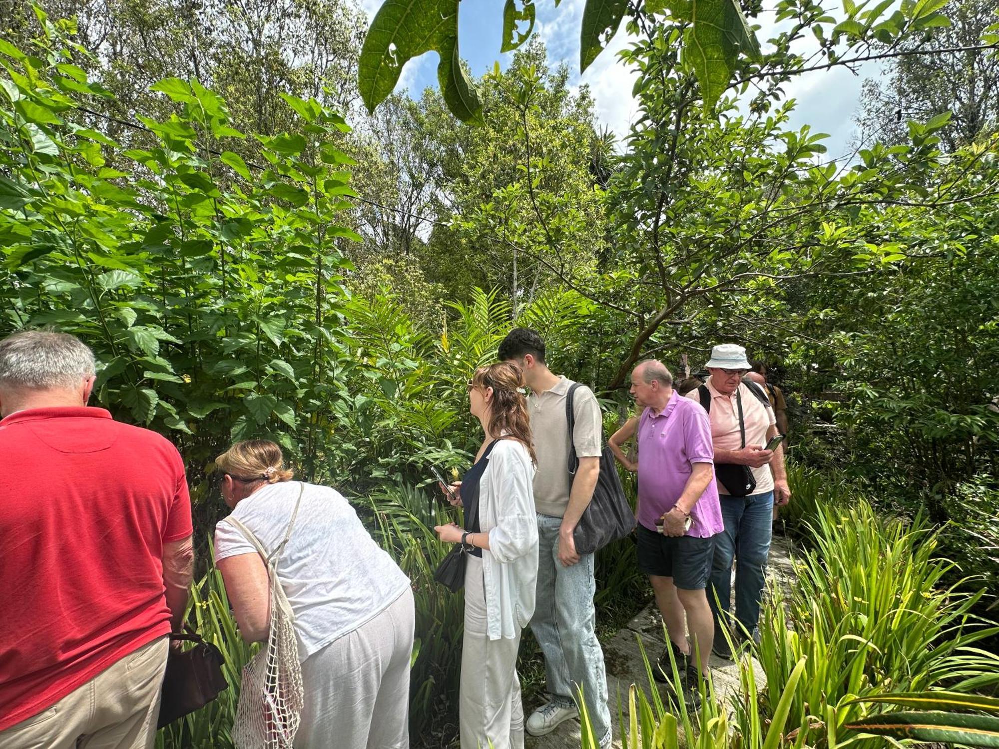 Villa Ipsa Munduk Dış mekan fotoğraf